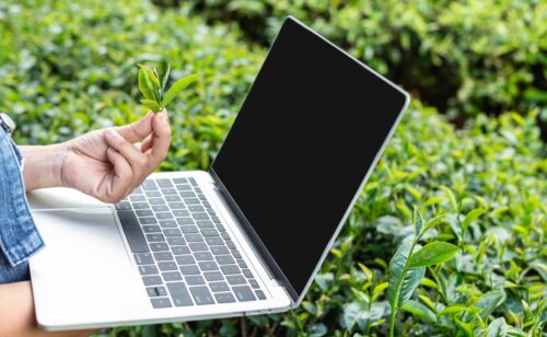hand-plant-laptop