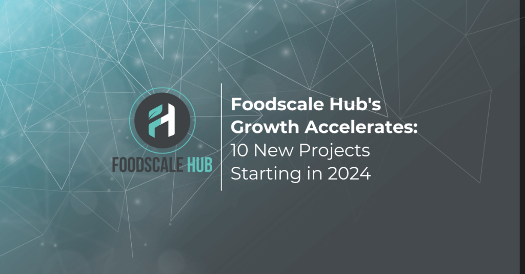 Visual for Foodscale Hub's article on new projects starting in 2024