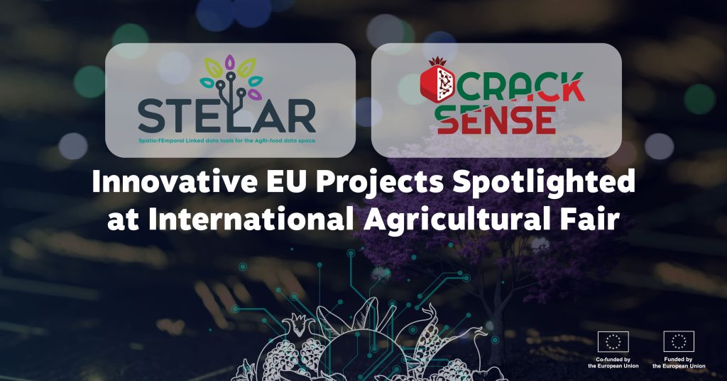 stelar-cracksense-agricultural-fair