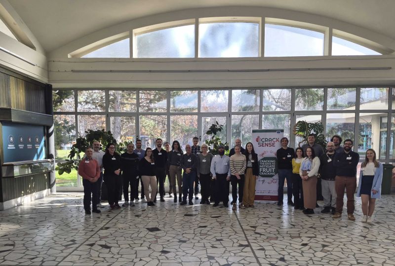 In-text visual for a blog on the CrackSense Consortium Meeting